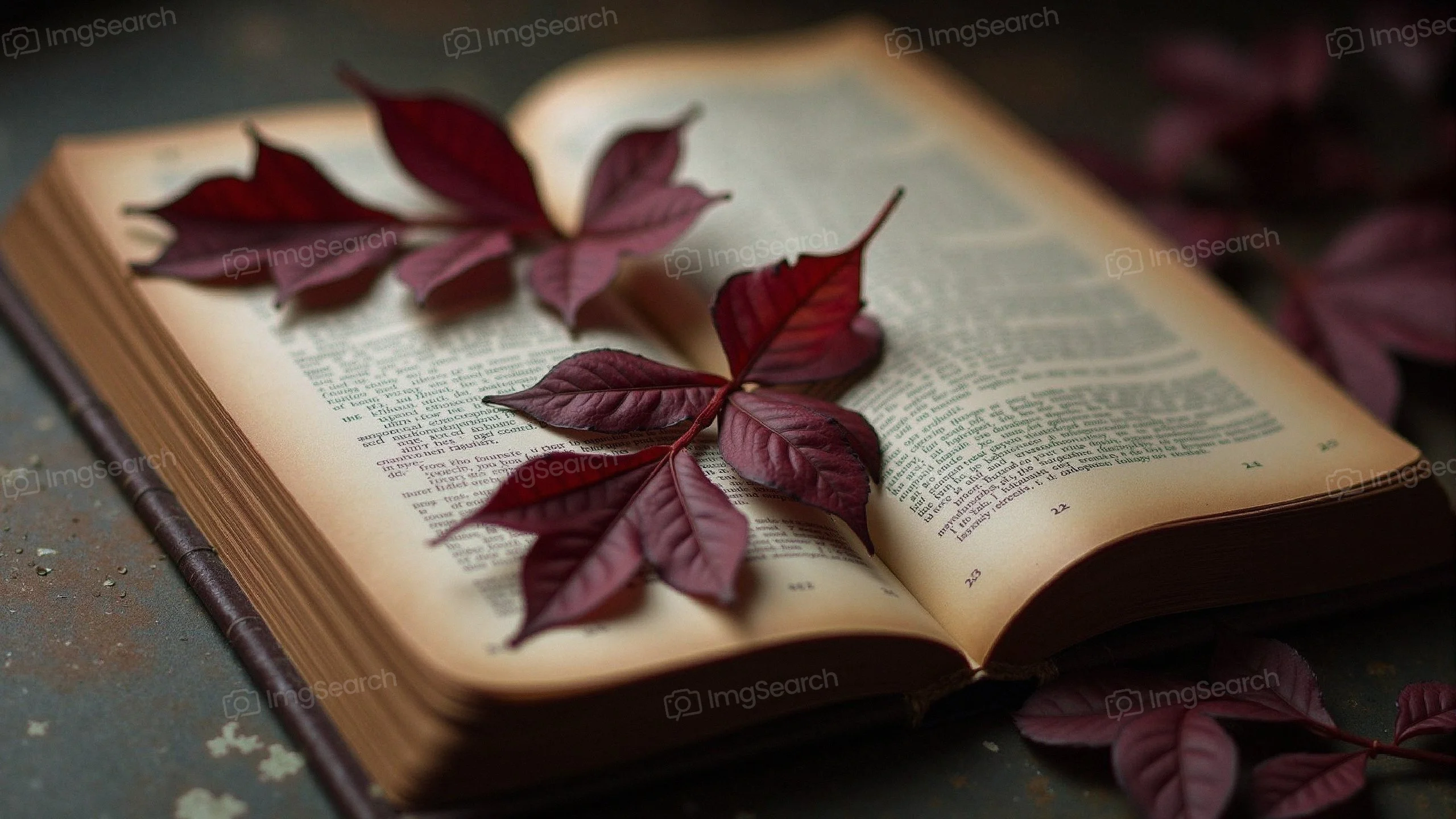 A vintage book with red leaves on its open pages.