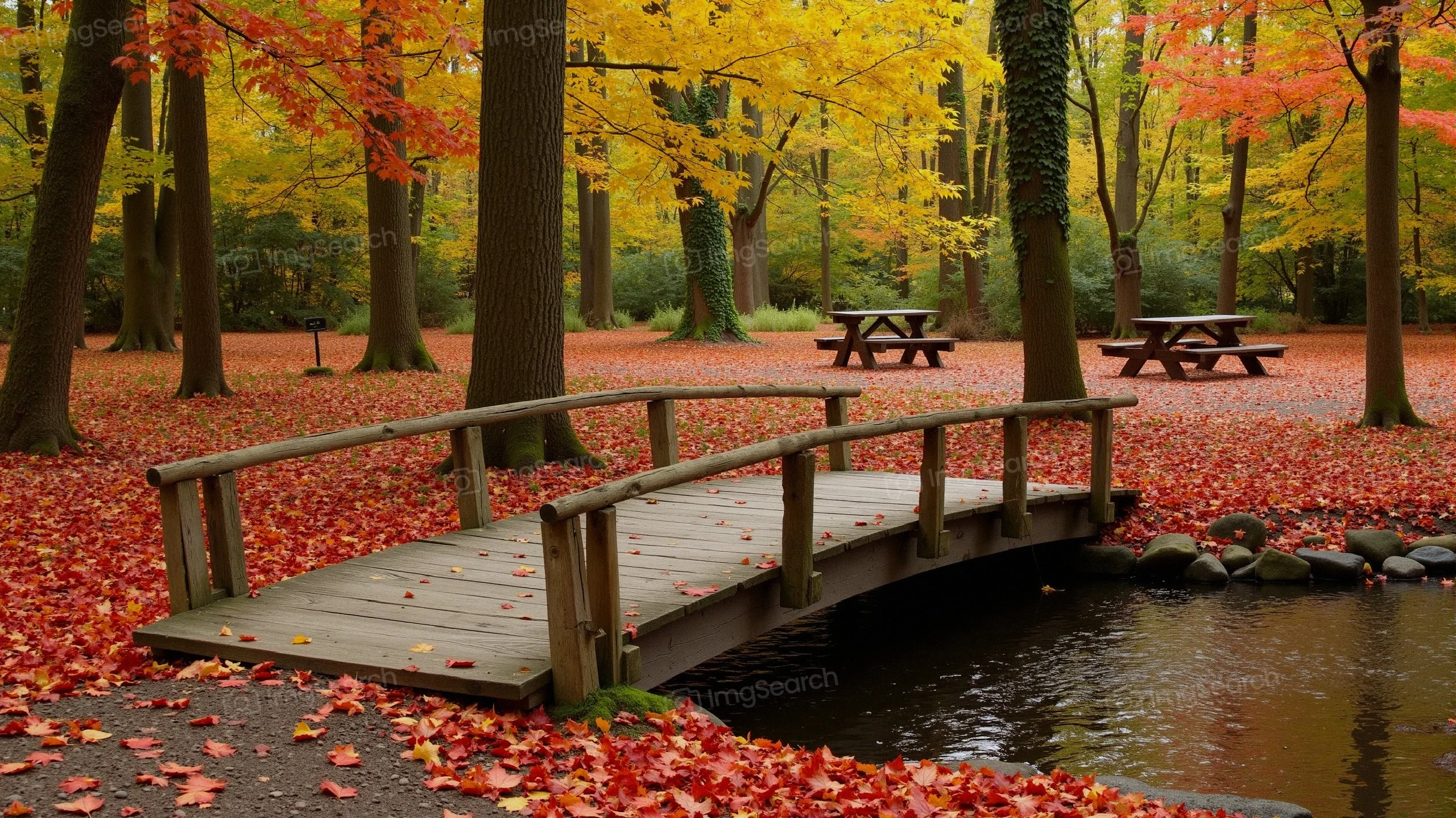 A wooden bridge over a pond surrounded by autumn foliage in a tranquil forest.