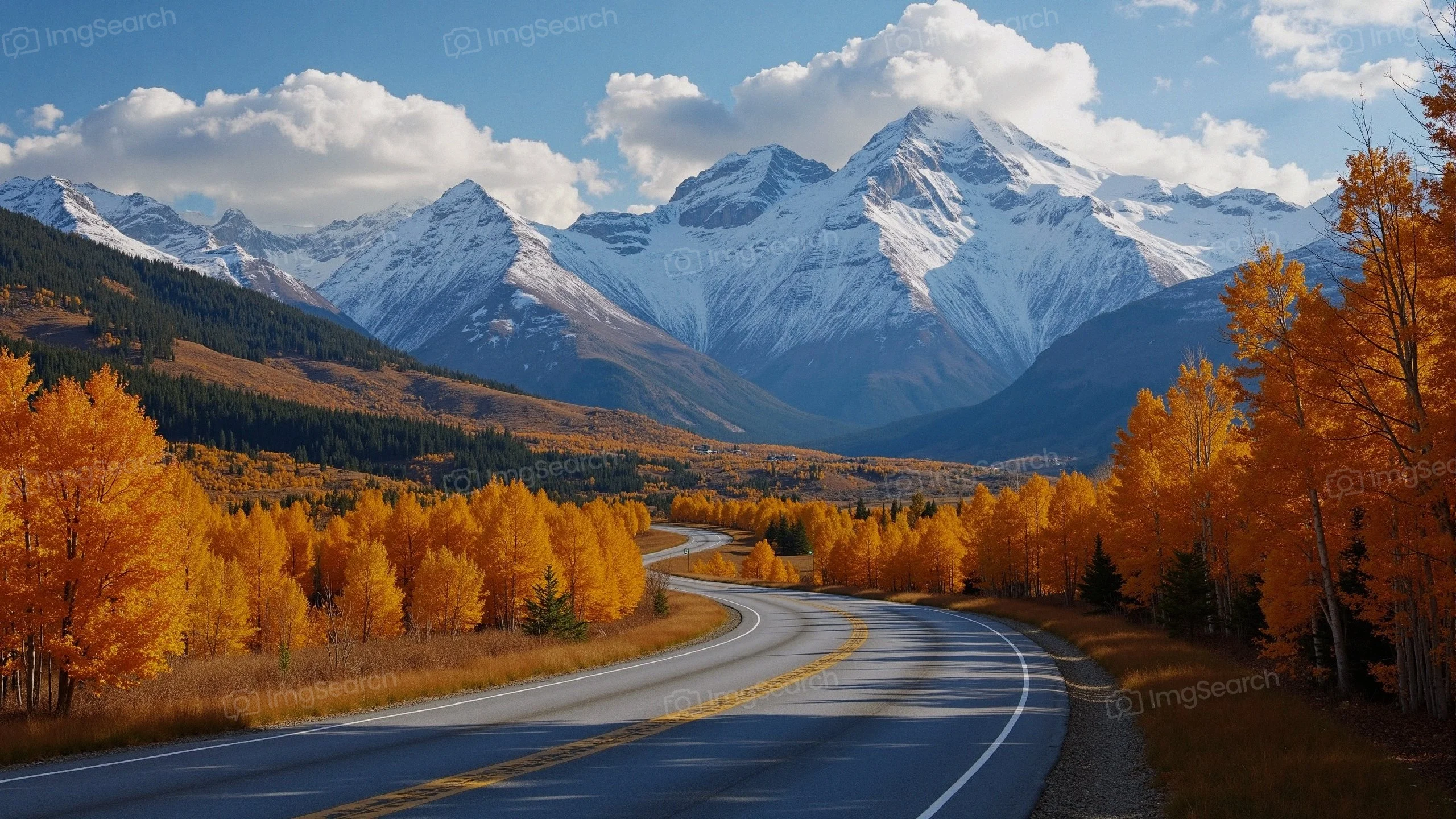 A winding road surrounded by golden autumn trees with snow-capped mountains in the background.
