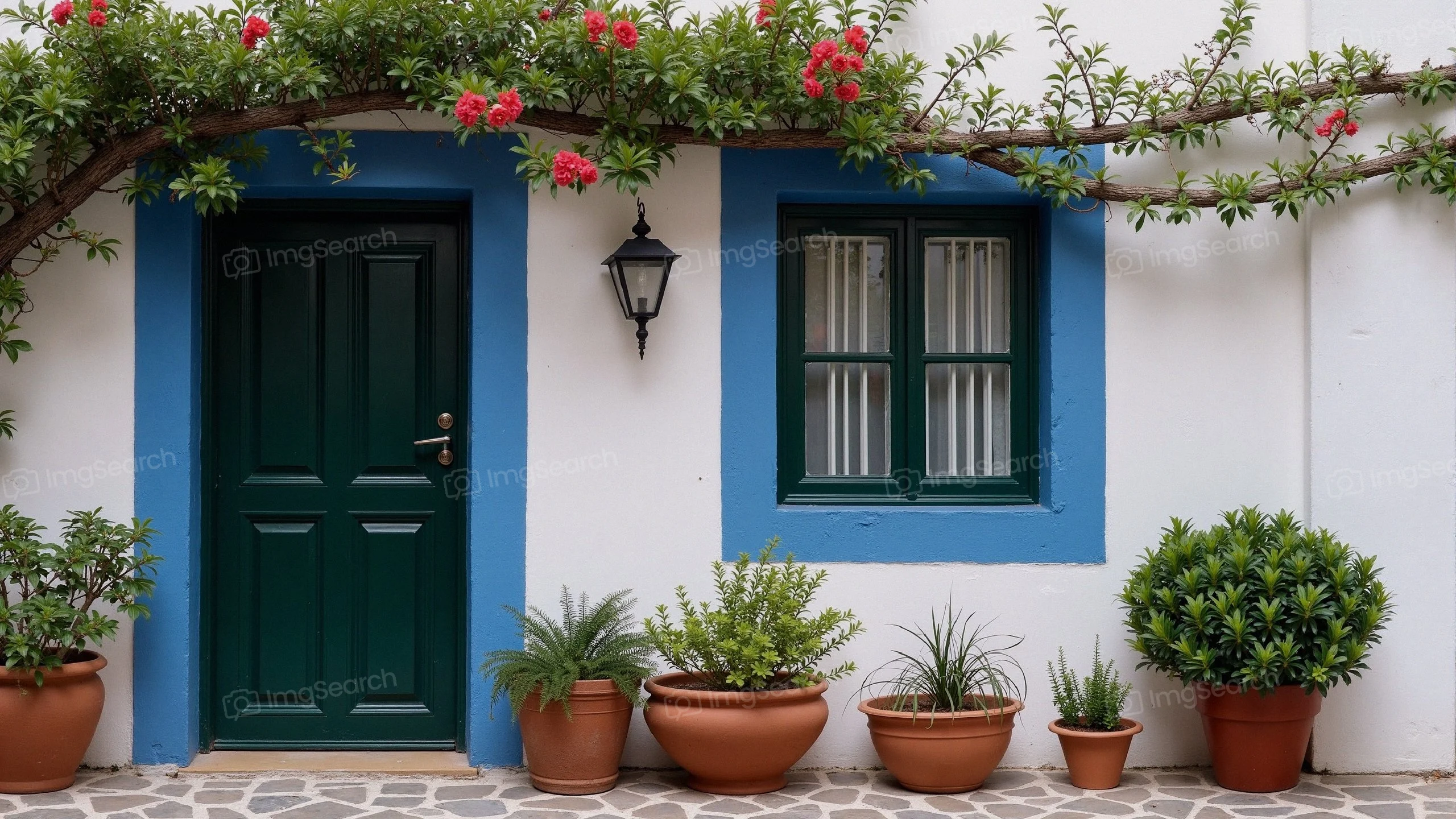 A green door framed in blue, surrounded by potted plants bougainvillea in a Mediterranean setting.