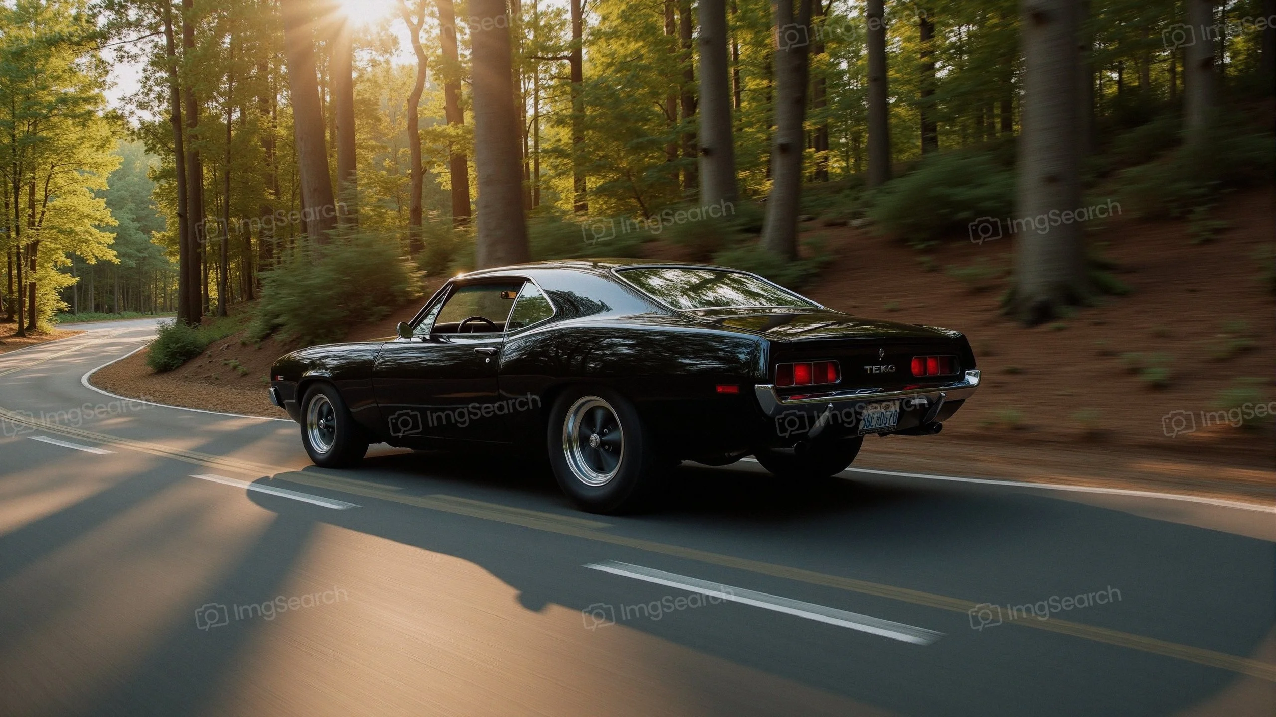 Black muscle car driving on a forest road
