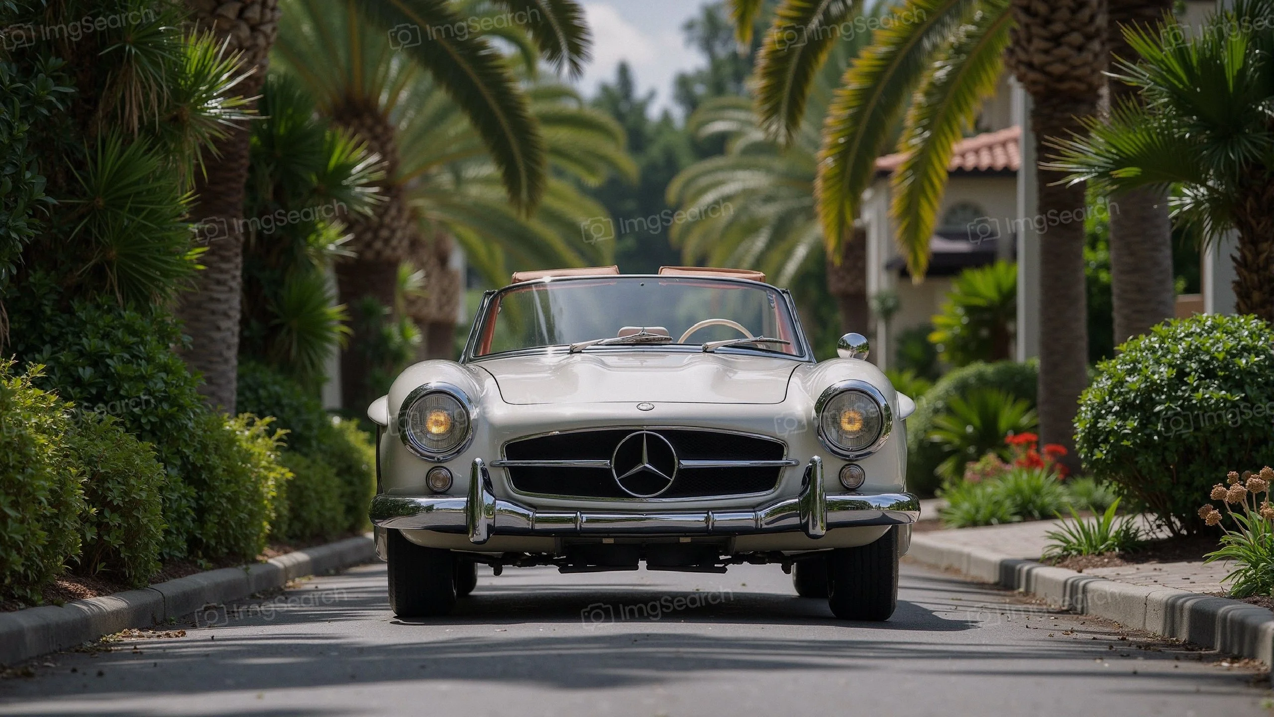 A vintage Mercedes-Benz convertible parked on a picturesque street lined with palm trees lush greenery.