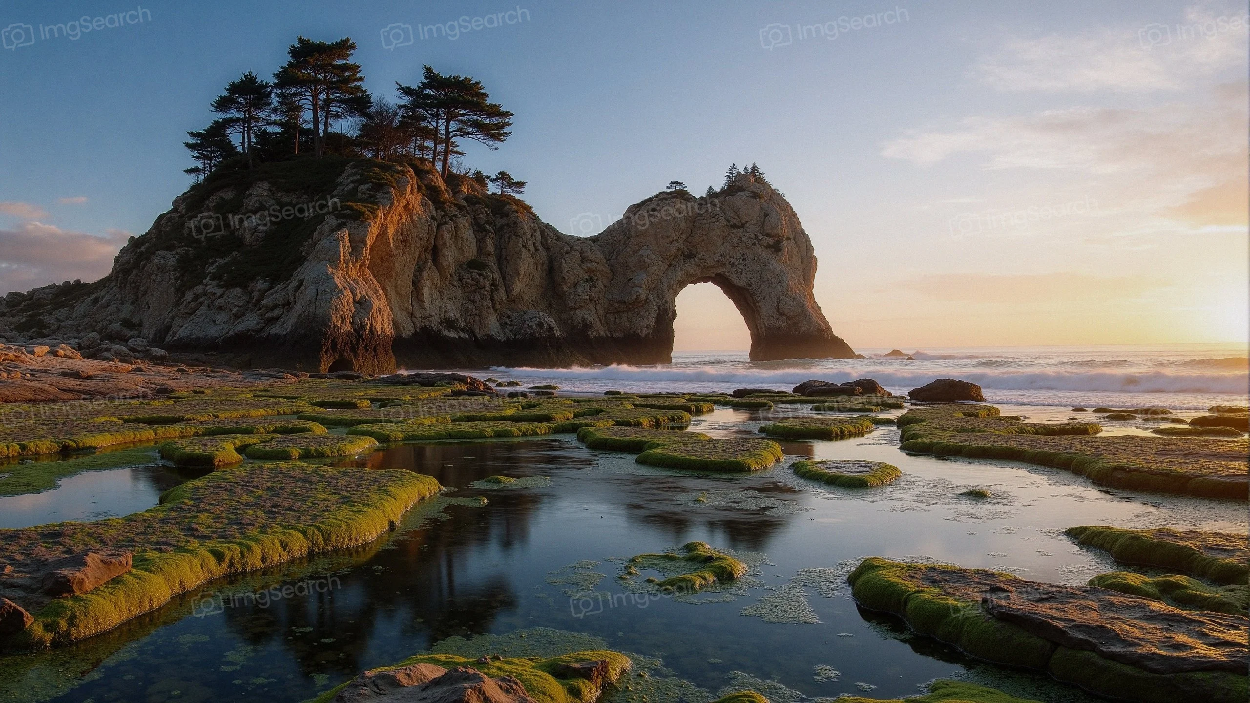 A coastal rock formation with a natural arch at sunset, surrounded by green moss tidal pools.