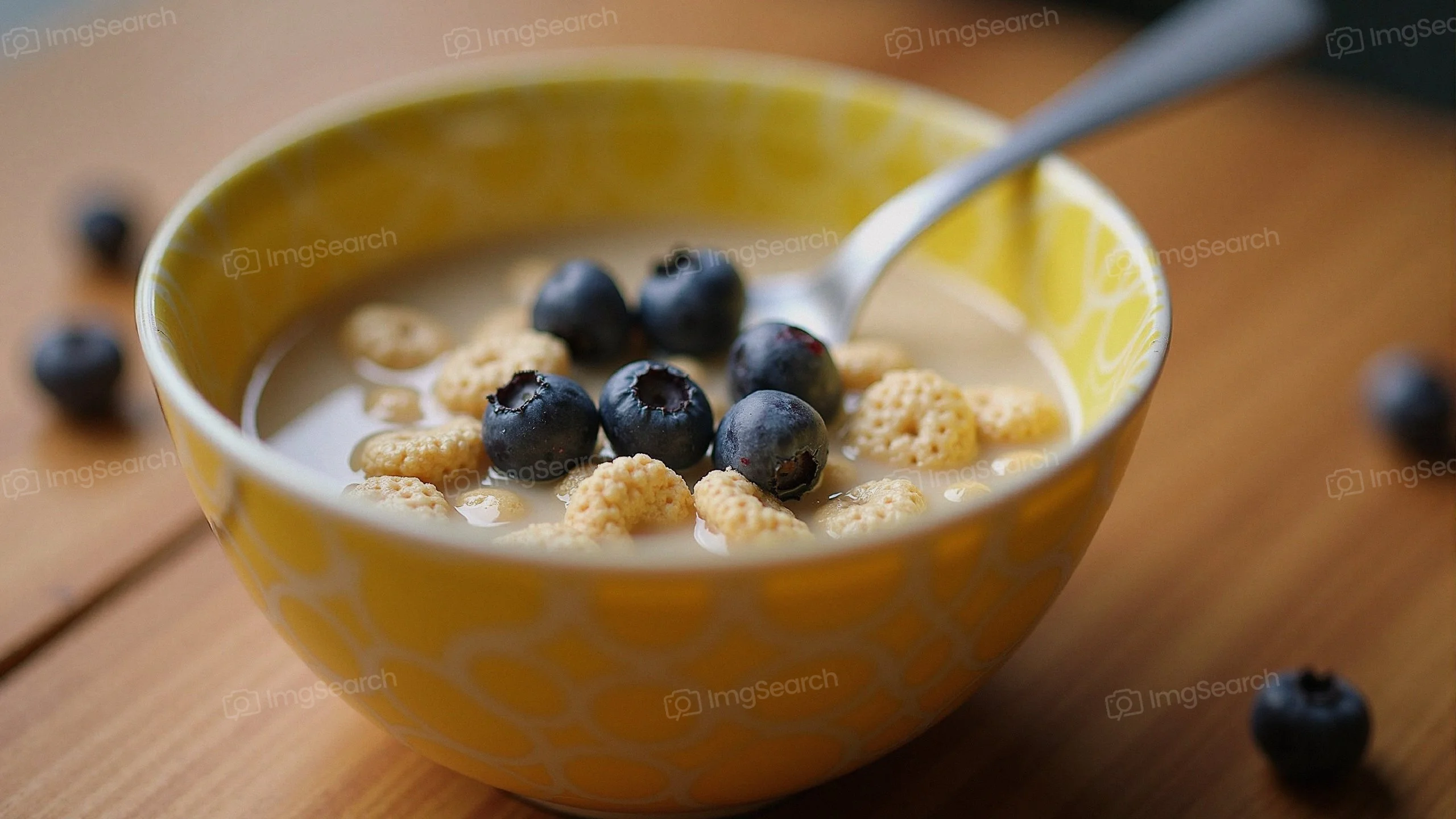 A breakfast bowl containing cereal and blueberries.