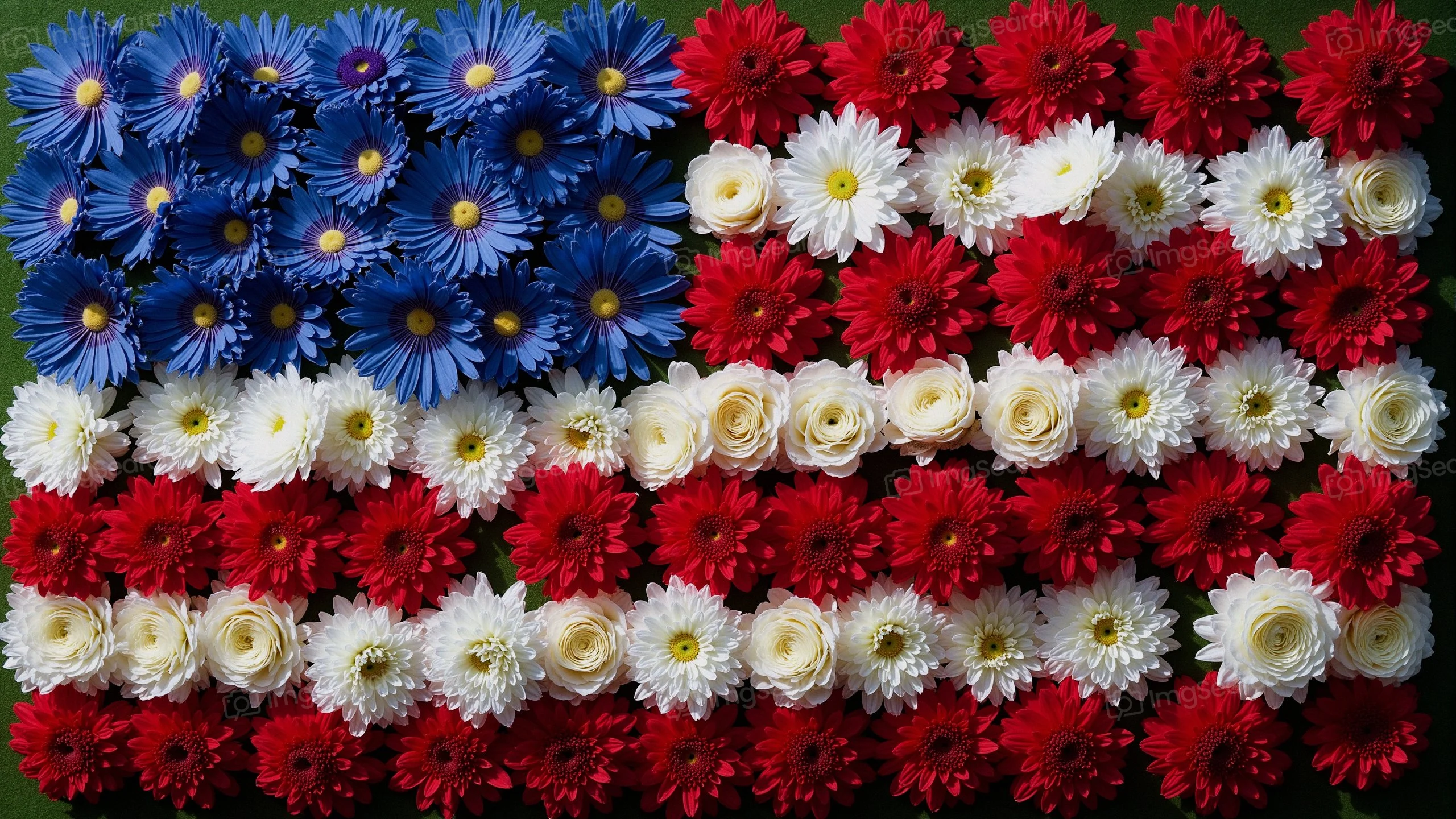 Floral arrangement representing the American flag with blue, white, red flowers