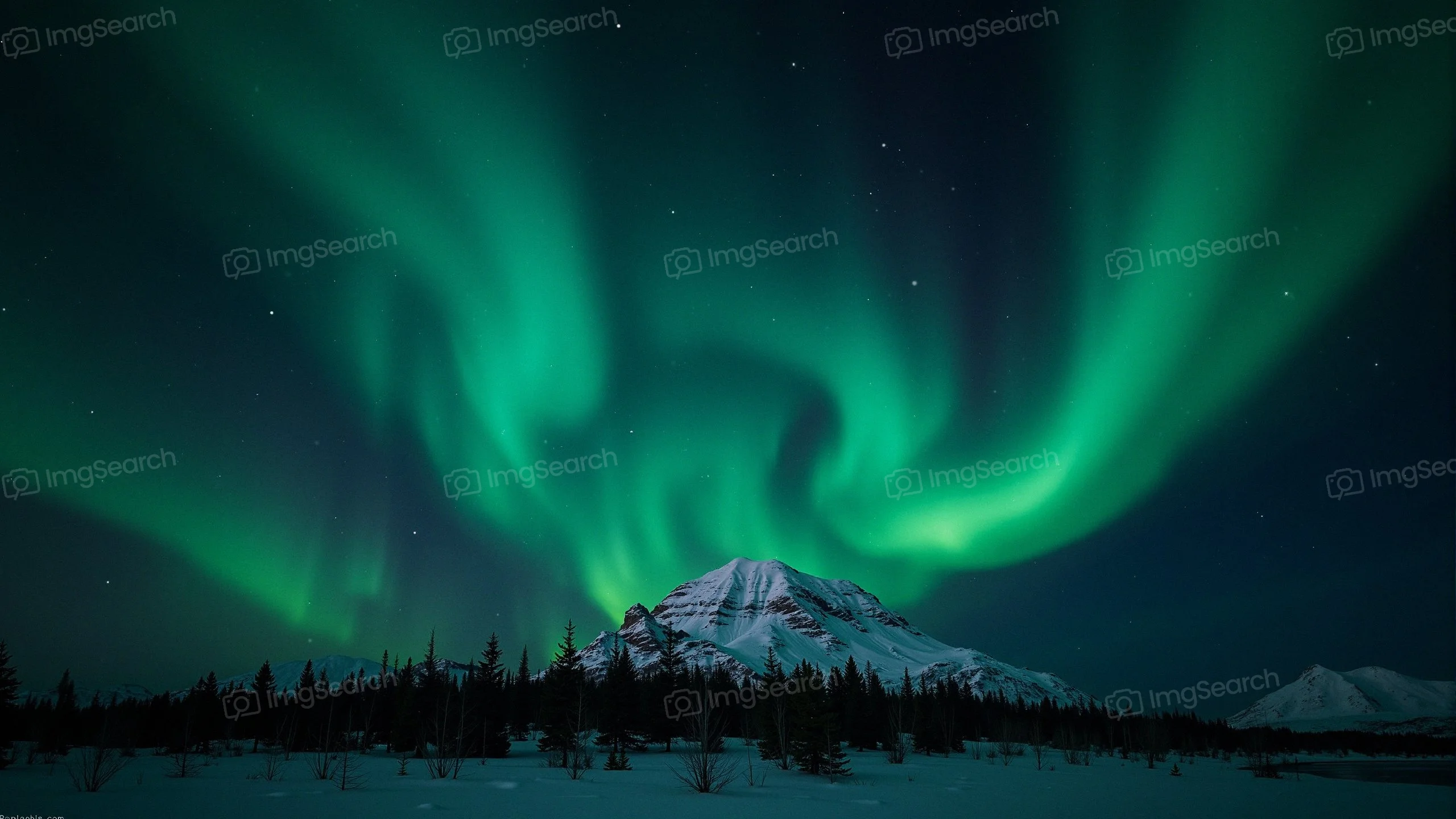 A display of the Aurora Borealis over a snow-covered mountain landscape at night.