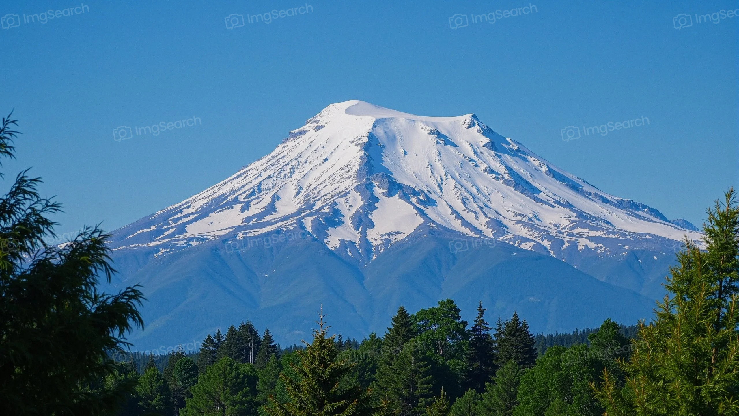Snow-capped mountain with green trees in the foreground
