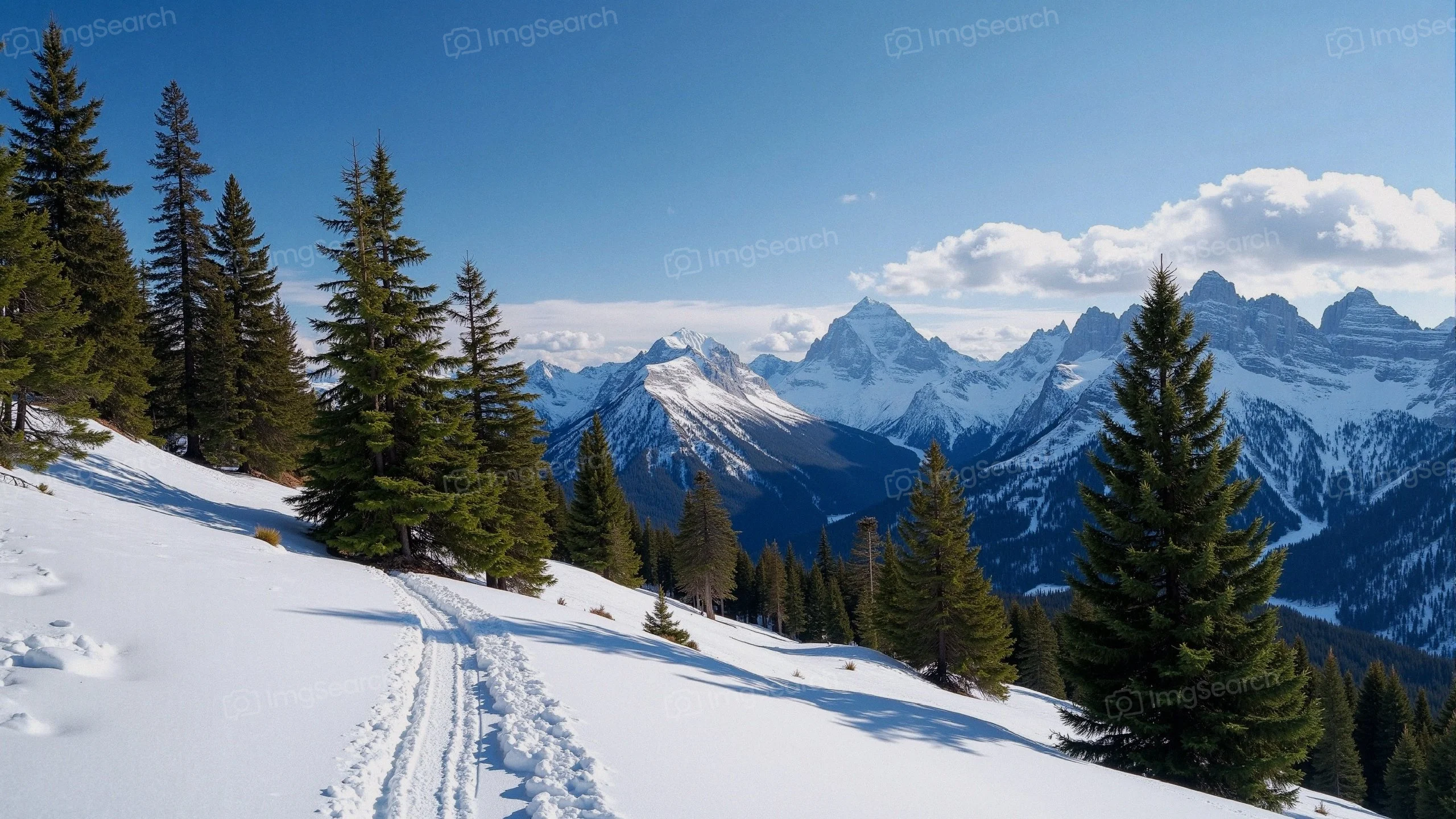 A winter landscape with snow-covered mountains pine trees under a blue sky.