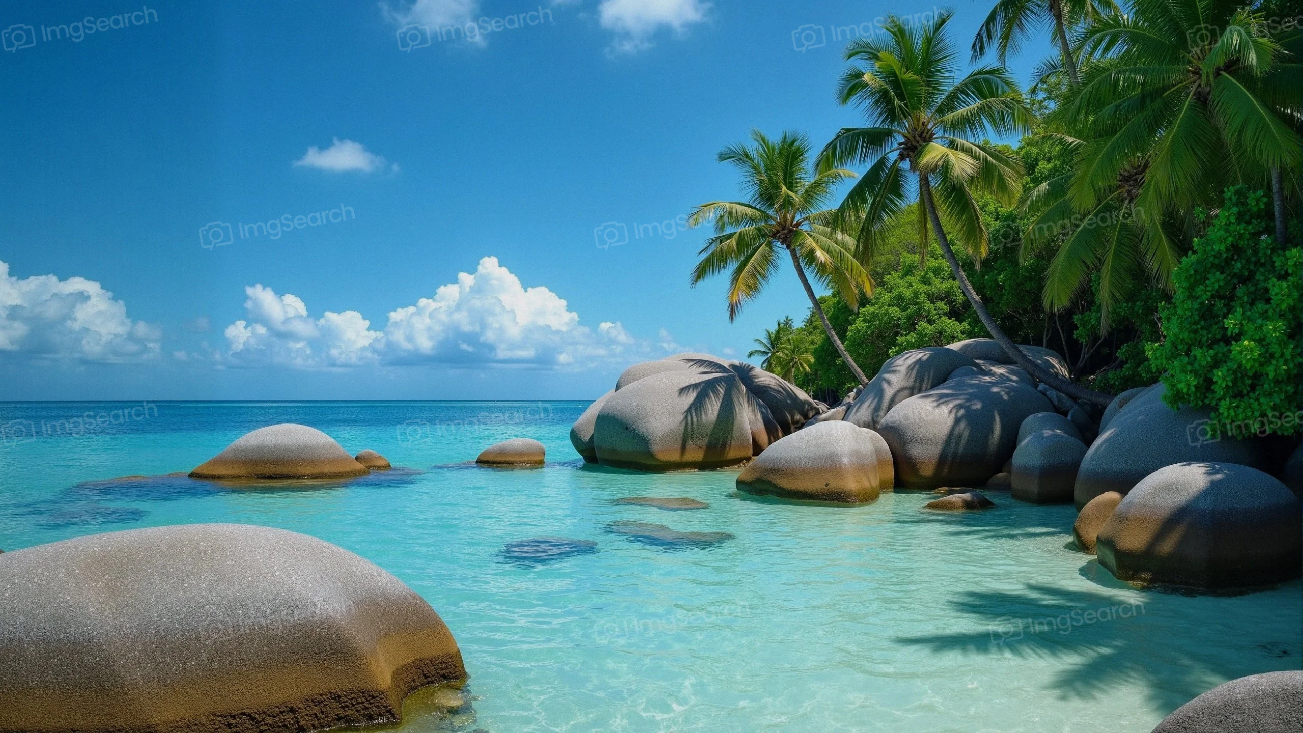 A peaceful tropical beach scene with boulders, palm trees, crystal clear waters under a blue sky.