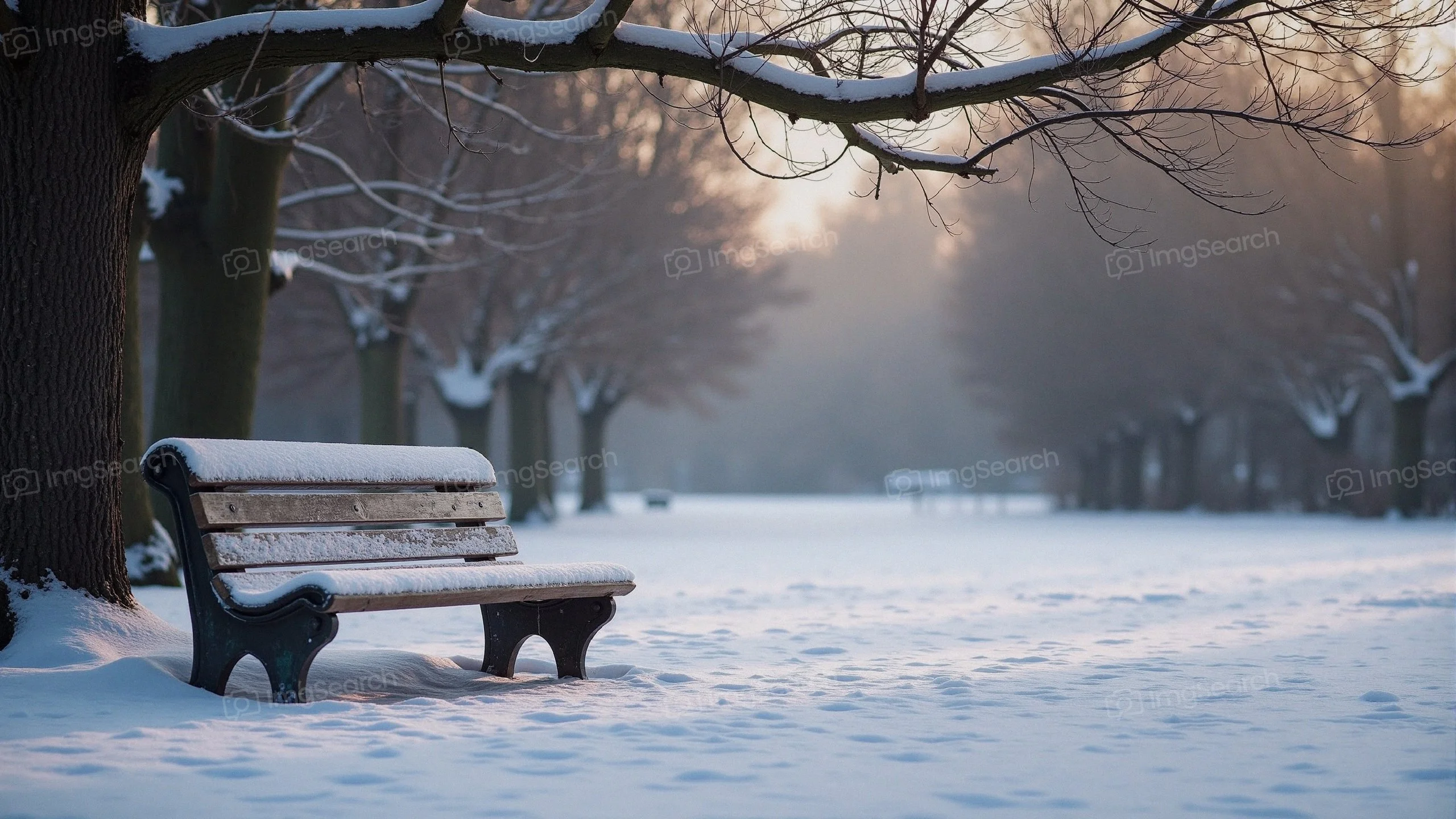 A snow-covered park bench in a serene winter landscape.